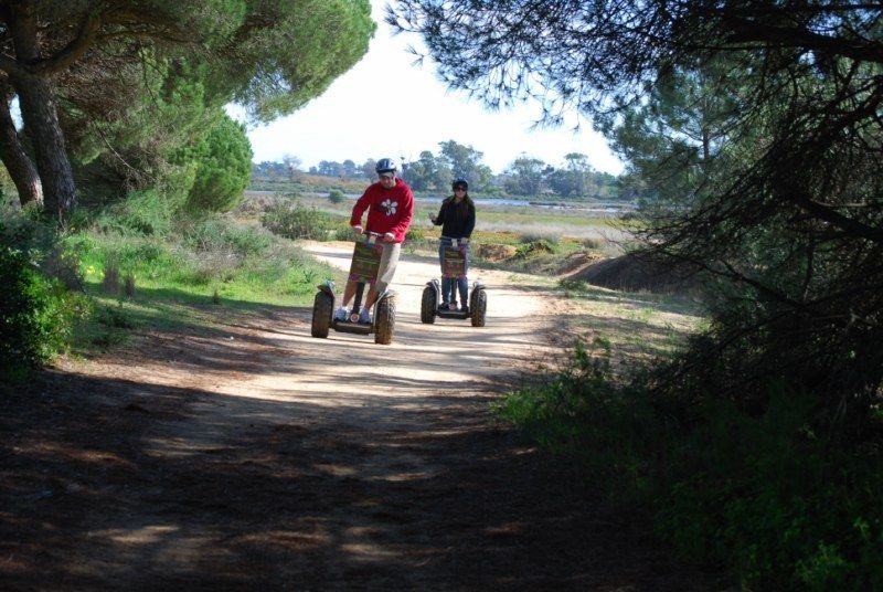 Faro: Ria Formosa Natural Park Segway Tour & Birdwatching - Following park paths instead of driving: the tour’s real advantage