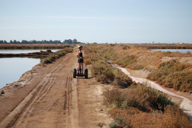 Faro: Ria Formosa Natural Park Segway Tour & Birdwatching - Price and value: is $66 a good deal?