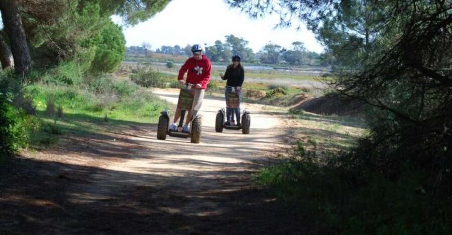 Faro: Ria Formosa Natural Park Segway Tour & Birdwatching - Who should book, and who should skip it