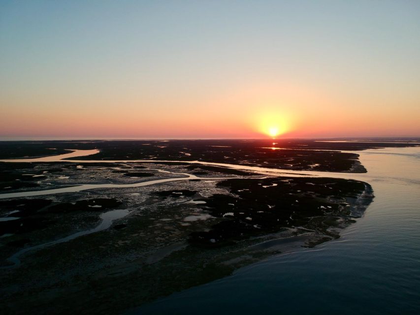 Faro: Ria Formosa Sunset Nature Boat Tour - Key highlights that make this sunset cruise worth your evening