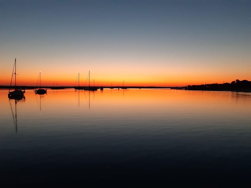 Faro: Ria Formosa Sunset Nature Boat Tour - The Faro Photo Stop: A Quick Orientation From the Water