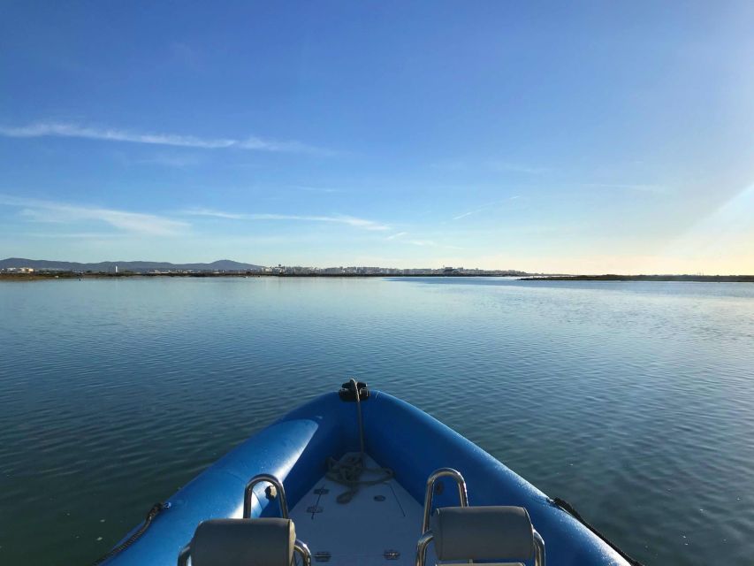 Faro: Speed Boat Tour - Ria Formosa Natural Park by speed boat: what you will actually notice