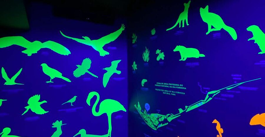 Faro Story Spot - Multimedia Museum&Restaurant: Tour&Tasting - The terrace and the food beyond the 30-minute tour