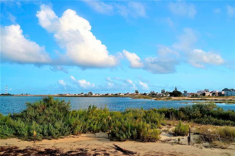 Faro: Sunset 1 hour Ria Formosa Boat Tour - What to Wear and Bring for a Comfortable Sunset Cruise