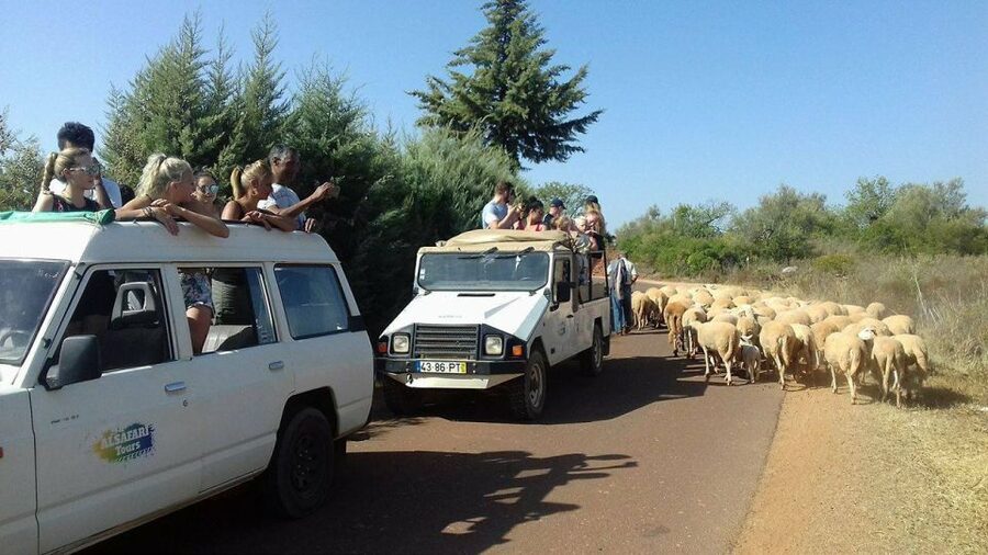 From Albufeira: 4x4 Off-Road Safari & Vineyard Wine Tasting - What Happens on the Way Out: Villages, Groves, and Cork Oaks