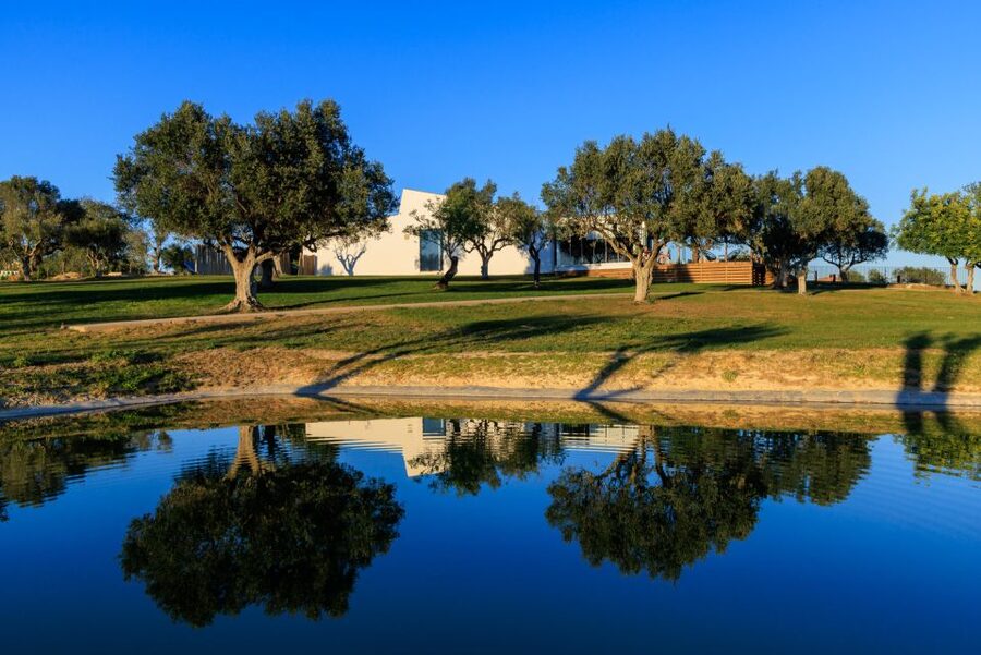 From Albufeira: 4x4 Off-Road Safari & Vineyard Wine Tasting - How Long Do You Really Spend Tasting?