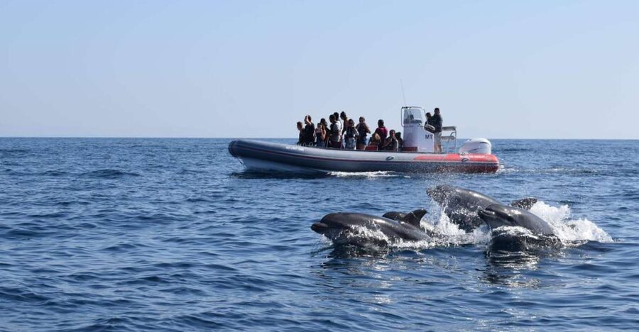 From Albufeira: Benagil Caves and Dolphins Guided Boat Tour - Key Things That Make This Tour Worth Your Time