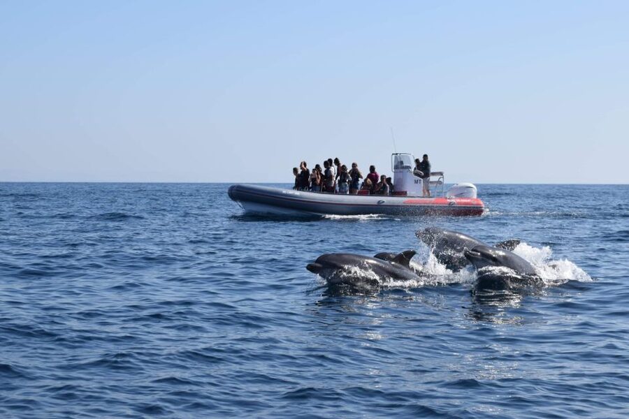 From Albufeira: Benagil Caves and Dolphins Guided Boat Tour - Why the Benagil Caves Part Feels Different From the Usual Boat Trip