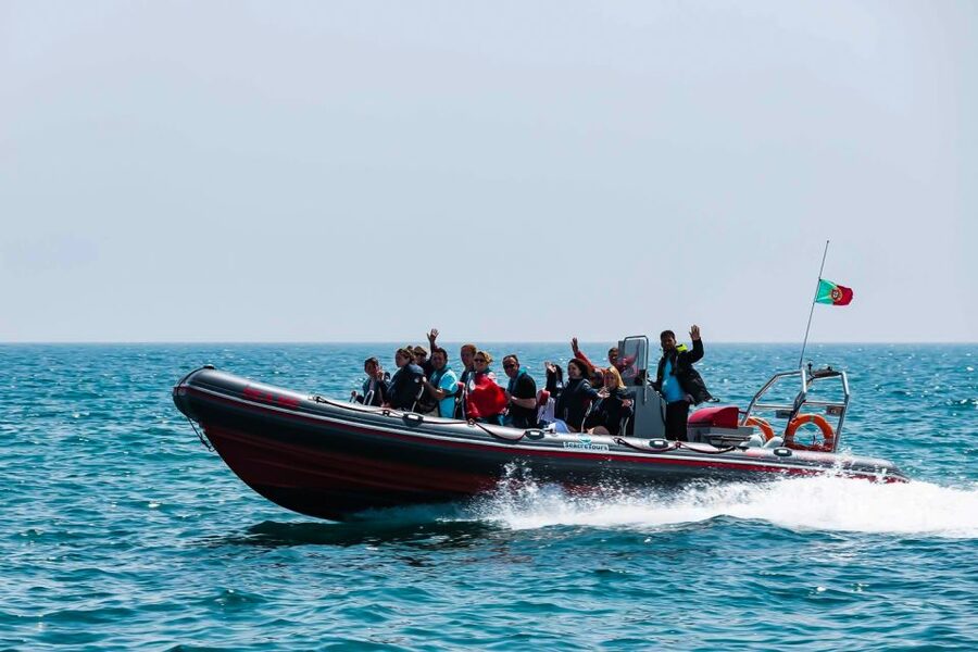From Albufeira: Benagil Caves Excursion by Boat Private - Dolphin Watching Chances: Flexible Time and Realistic Sea Conditions