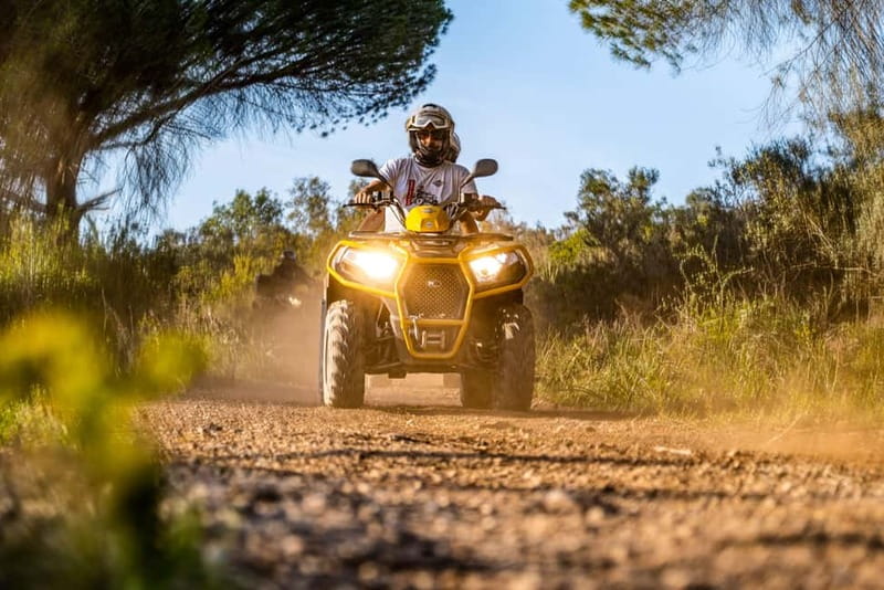 From Albufeira: Full-Day Off-Road Quad Tour - Key Highlights You’ll Feel Right Away
