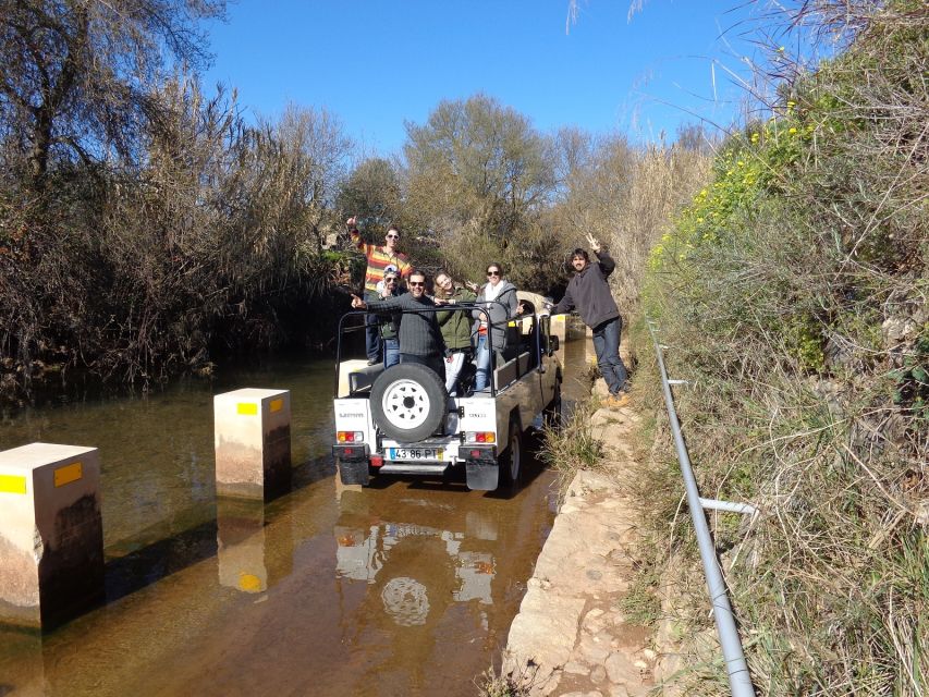 From Albufeira: Half-Day Algarve Jeep Safari - A half-day Algarve jeep safari that actually feels local