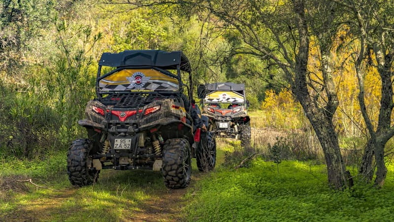 From Albufeira: Half-Day Buggy Adventure Tour - Guides and Group Size: How You Keep the Fun Without Chaos