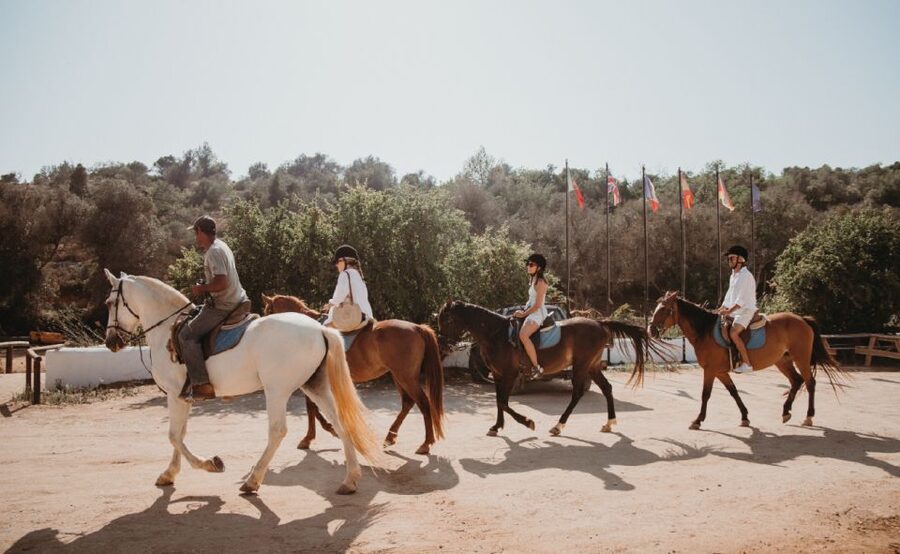 From Albufeira: Half-Day Hidden Gems & Horse Riding Tour - Who This Tour Suits, and Who Should Skip It