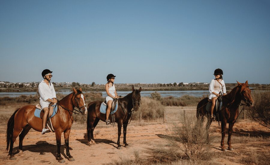 From Albufeira: Horse Riding Tour with Pickup - Nature paths and what you might spot along the way