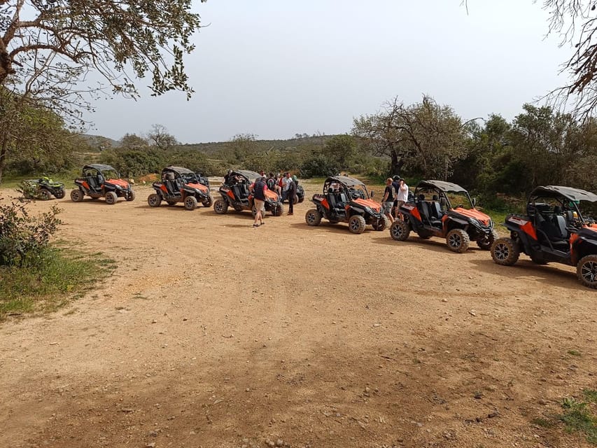 From Albufeira: Paderne Adventure Buggy Ride - Key things you’ll notice on this Paderne buggy ride