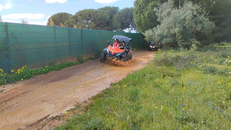 From Albufeira: Paderne Adventure Buggy Ride - Who should book this buggy ride, and who might want a different plan