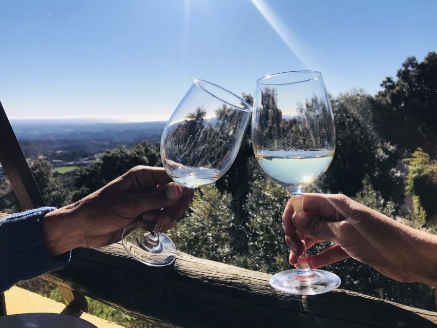 From Albufeira: Wine Tasting & Historic Silves Tour - Key highlights you will feel right away