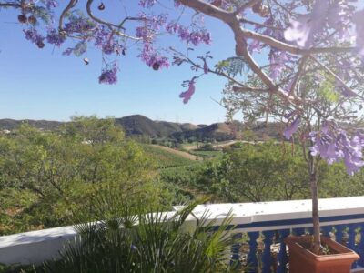 Wine Tasting & Historic Silves Tour