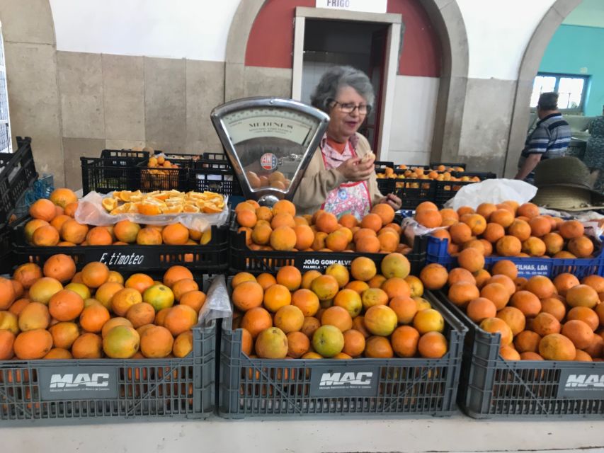 From Albufeira: Wine Tasting & Historic Silves Tour - Silves at your pace: Moorish streets, red-sandstone castle vibes