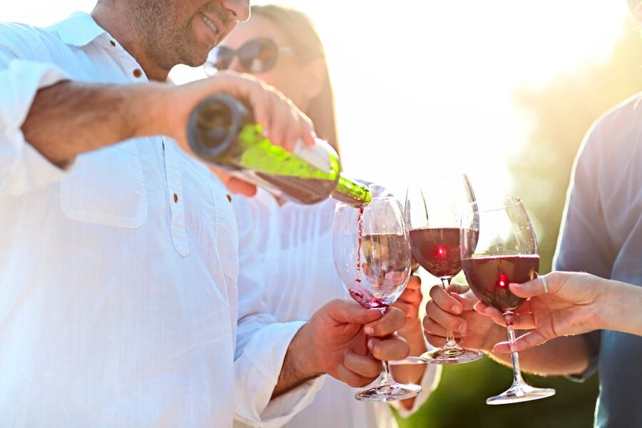 From Albufeira: Wine Tasting & Historic Silves Tour - The family winery experience: grape to glass, vines to cellar