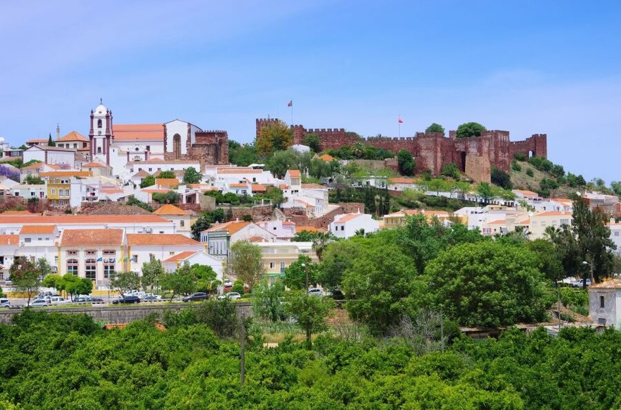 From Albufeira: Wine Tasting & Historic Silves Tour - Transportation and timing: 4 hours that don’t drag