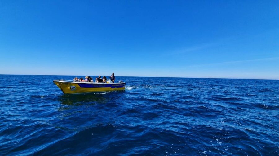 From Benagil: Benagil Cave & Marinha Beach Express Tour - First real highlight: Benagil Sea Cave, how the short visit feels