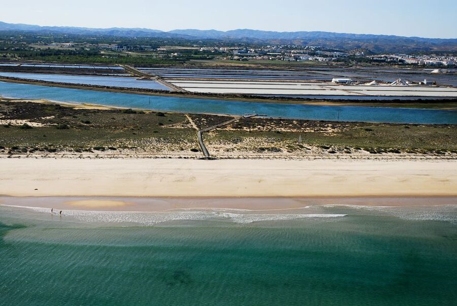 From Cabanas de Tavira: Octopus Route - Terra Estreita’s 30-Minute Island Stop: Beach Time, Shade, and Getting Your Bearings