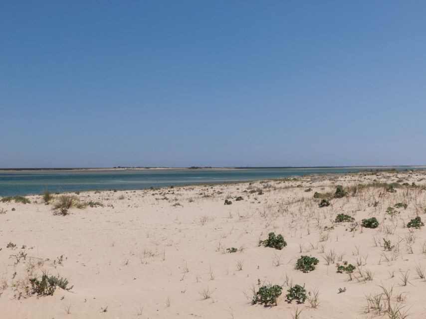 From Faro: 2-Hour Guided Bird Watching Boat Trip - What to pack and wear for a comfortable 2 hours on the water