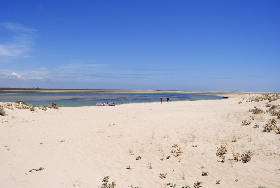 From Faro: 2-Hour Guided Bird Watching Boat Trip - Why the Ria Formosa birding boat from Faro feels so worthwhile