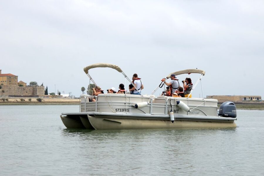 From Faro: 2-Hour Guided Bird Watching Boat Trip - Cruise through the Parque Natural da Ria Formosa: birds you’ll actually spot
