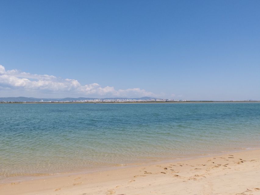 From Faro: 2-Hour Guided Bird Watching Boat Trip - Price and value: what $47 gets you (and why it can be a smart spend)
