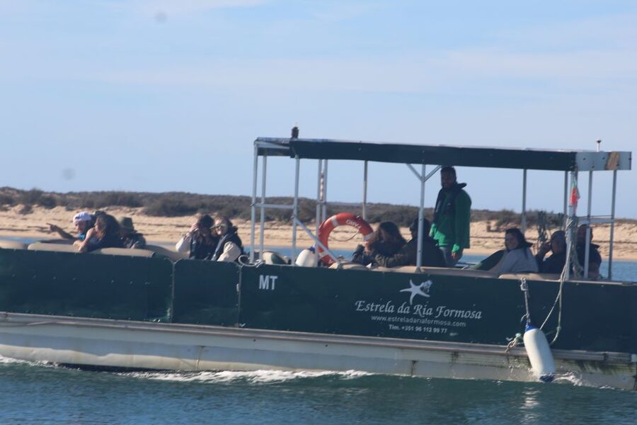 From Faro: 2-Island, 2-Stop Ria Formosa Catamaran Tour - Parque Natural da Ria Formosa: where the guide time actually helps