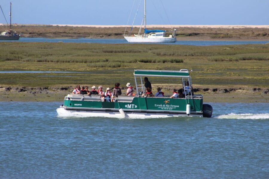 From Faro: 2-Island, 2-Stop Ria Formosa Catamaran Tour - Why the return ride feels different (and why you should notice)