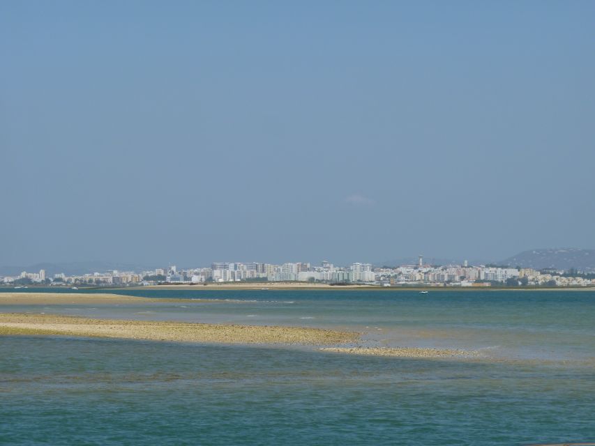 From Faro: 2-Island, 2-Stop Ria Formosa Catamaran Tour - Price and what you really get for about $41
