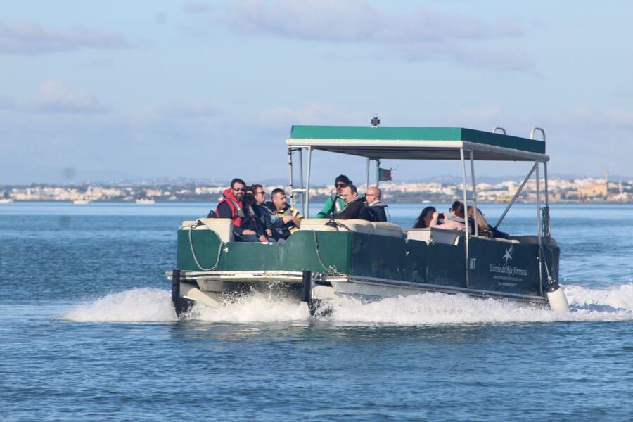 From Faro: 4 Stops, 3 Islands in Ria Formosa Catamaran Tour - Key highlights to know before you go