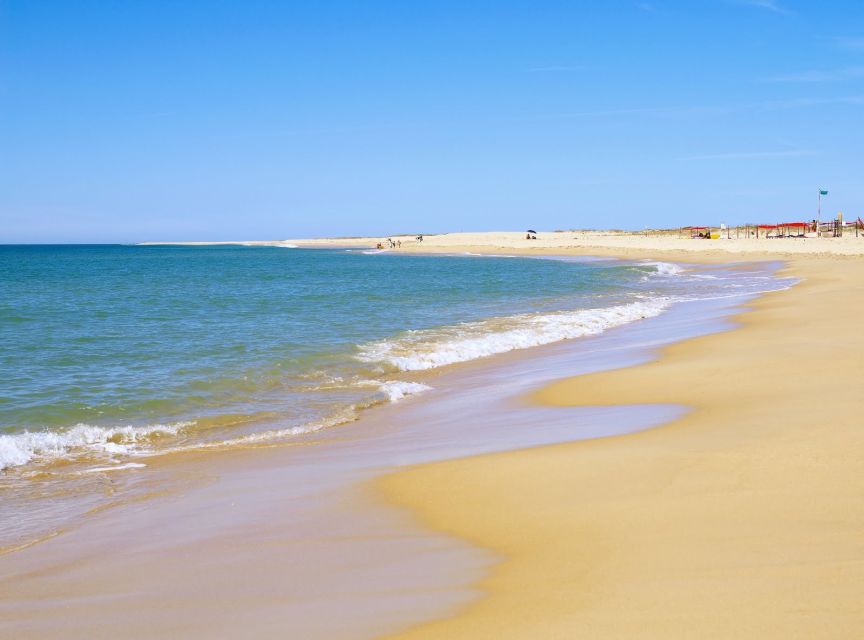 From Faro: 4 Stops, 3 Islands in Ria Formosa Catamaran Tour - Stop 1, Ilha Deserta: swimming at Portugal’s southern mainland edge