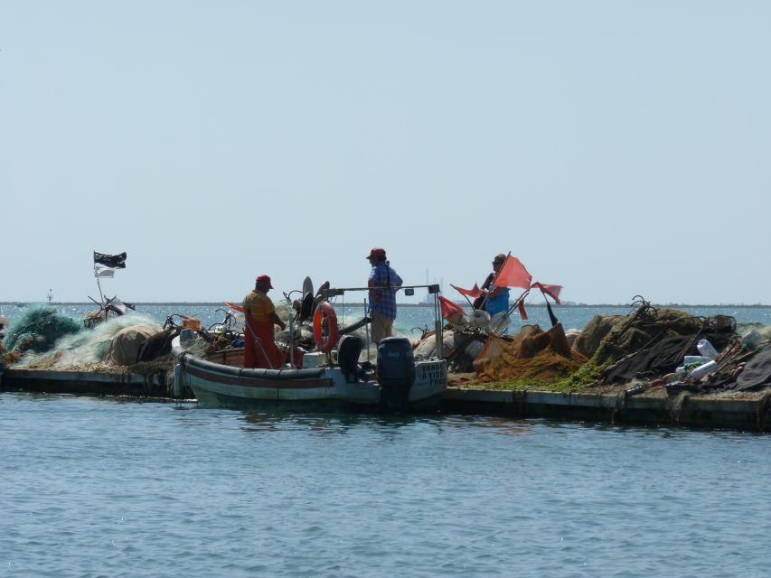 From Faro: 4 Stops, 3 Islands in Ria Formosa Catamaran Tour - Stop 3, Culatra island: free time in a fishing community