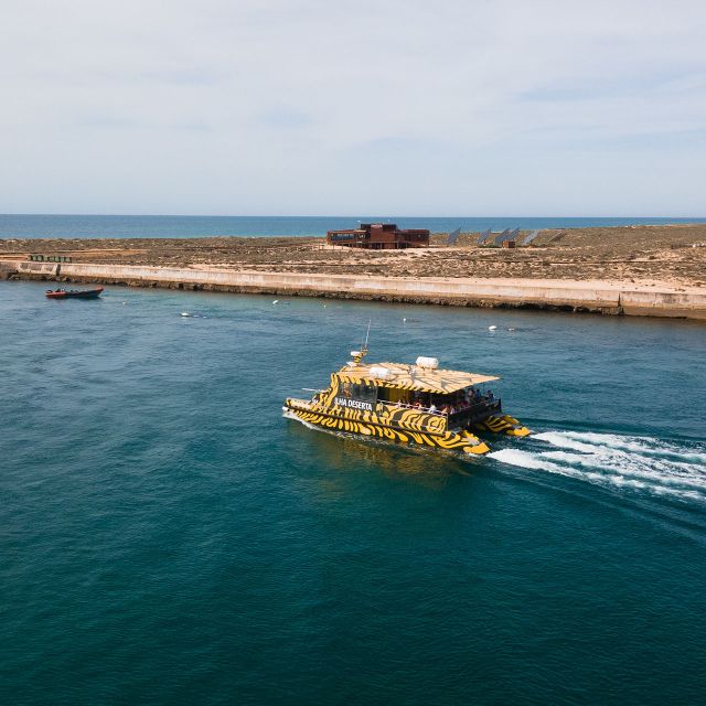 From Faro: Catamaran Boat Trip to Deserta Island with Stop - Key things to know before you go