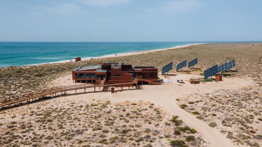 From Faro: Catamaran Boat Trip to Deserta Island with Stop - The Catamaran Cruise Through Ria Formosa: 45 Minutes of Easy Watching