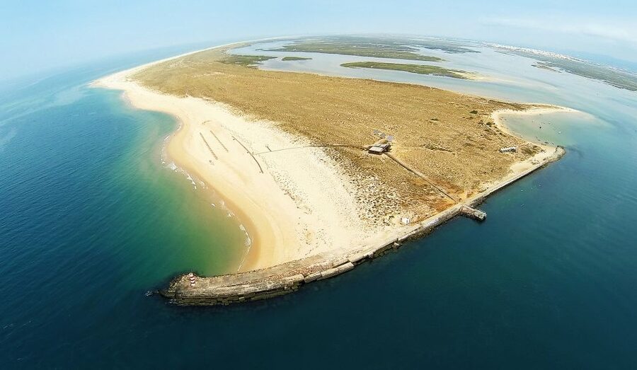 From Faro: Catamaran Boat Trip to Deserta Island with Stop - Beach Time, Boardwalk Strolls, and Clothing Choice Notes