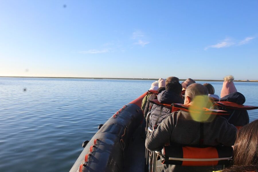 From Faro: Dolphin Watching & 2 Islands Tour - Why the Ria Formosa tides can make your return look totally different