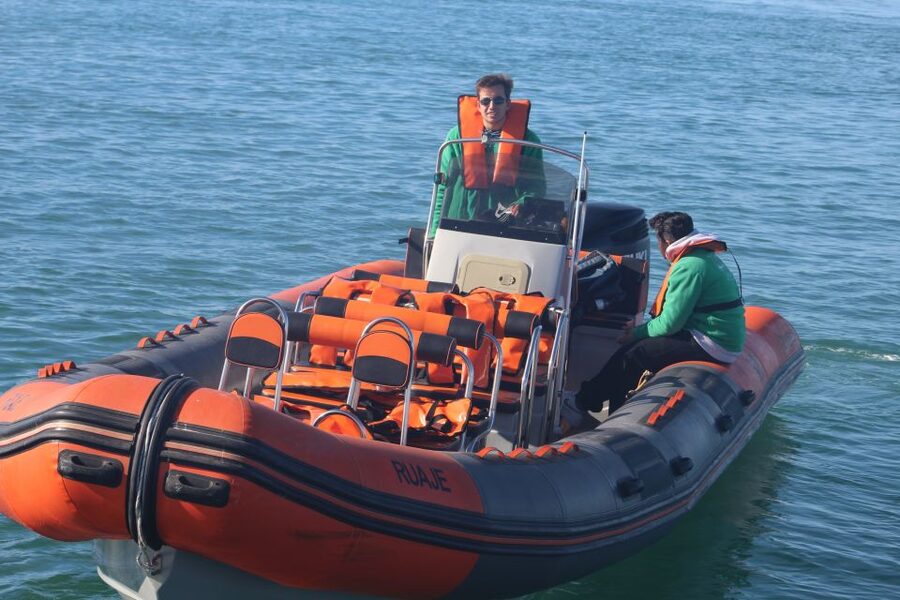 From Faro: Dolphin Watching & 2 Islands Tour - Meeting at Cais da Porta Nova and how the 4-hour timing plays out