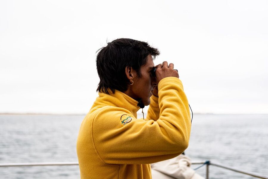 From Faro: Ria Formosa Eco Tour guided by Marine Biologist - Guide quality, languages, and what to expect in the human part