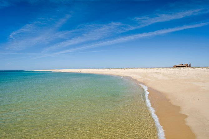 From Faro: Ria Formosa Eco Tour guided by Marine Biologist - The boat ride with a marine biologist, birds and plants from the channels
