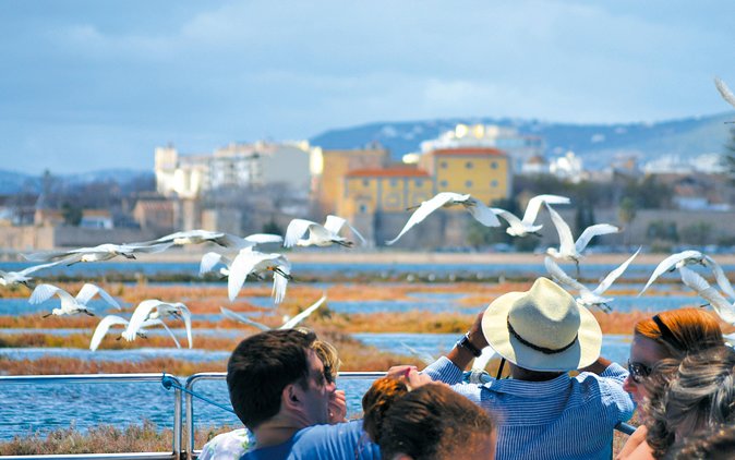 From Faro: Ria Formosa Eco Tour guided by Marine Biologist - Ilha Deserta free time, how to make the most of your island stay