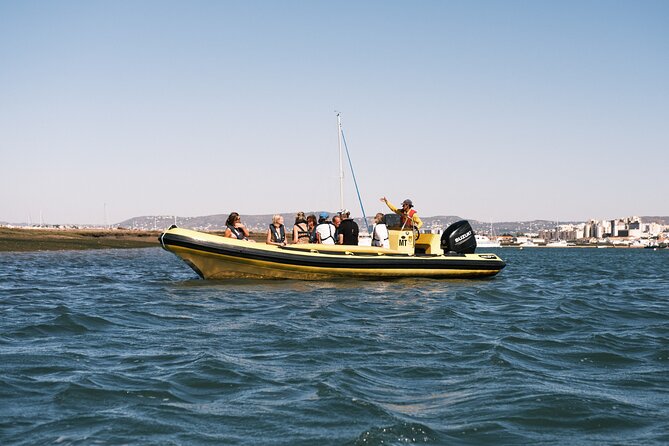 From Faro: Ria Formosa Eco Tour guided by Marine Biologist - Meeting at Cais da Porta Nova, get oriented fast