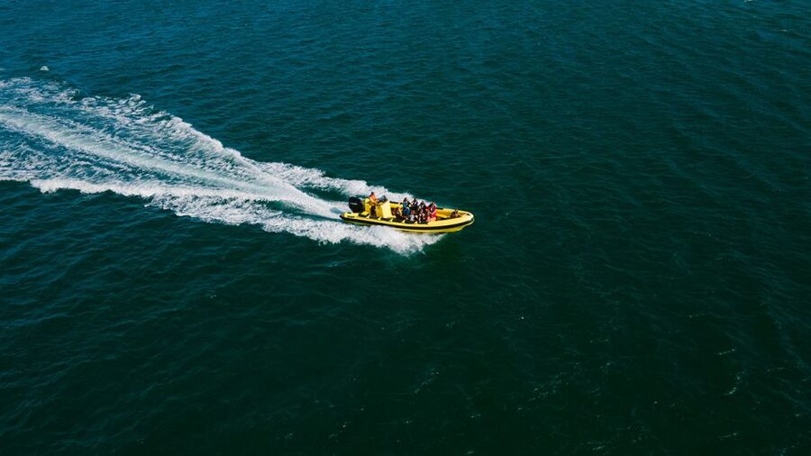 From Faro: Ria Formosa Hop-On Hop-Off 3 Islands Cruise - Key Points You Should Know Before You Go
