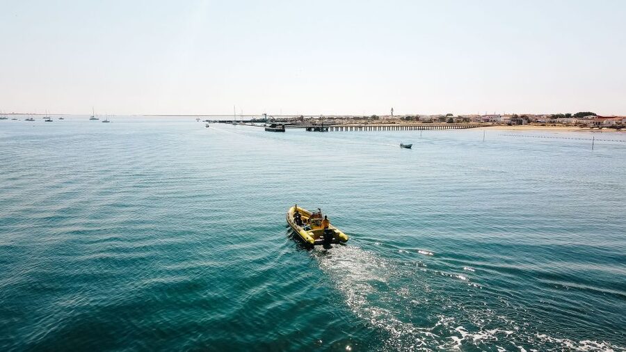 From Faro: Ria Formosa Hop-On Hop-Off 3 Islands Cruise - Desert Island: Uninhabited Quiet, Cape Saint Mary, and Estaminé