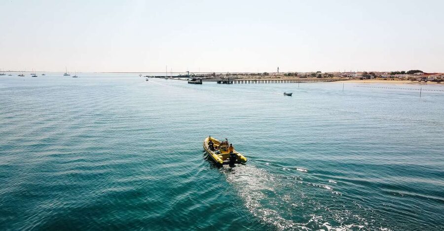 From Faro: Ria Formosa Hop-On Hop-Off 3 Islands Cruise - Starting at Cais da Porta Nova and Getting Your Timing Right