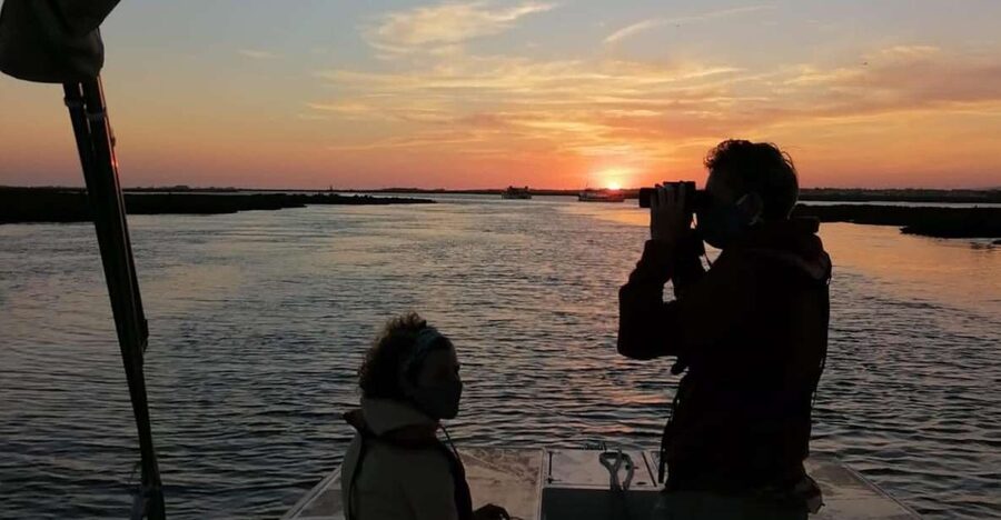 From Faro: Ria Formosa Sunset Boat Trip - Where You Meet Formosamar in Faro (And How to Find It Fast)